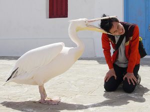 第２回　松本卓也監督